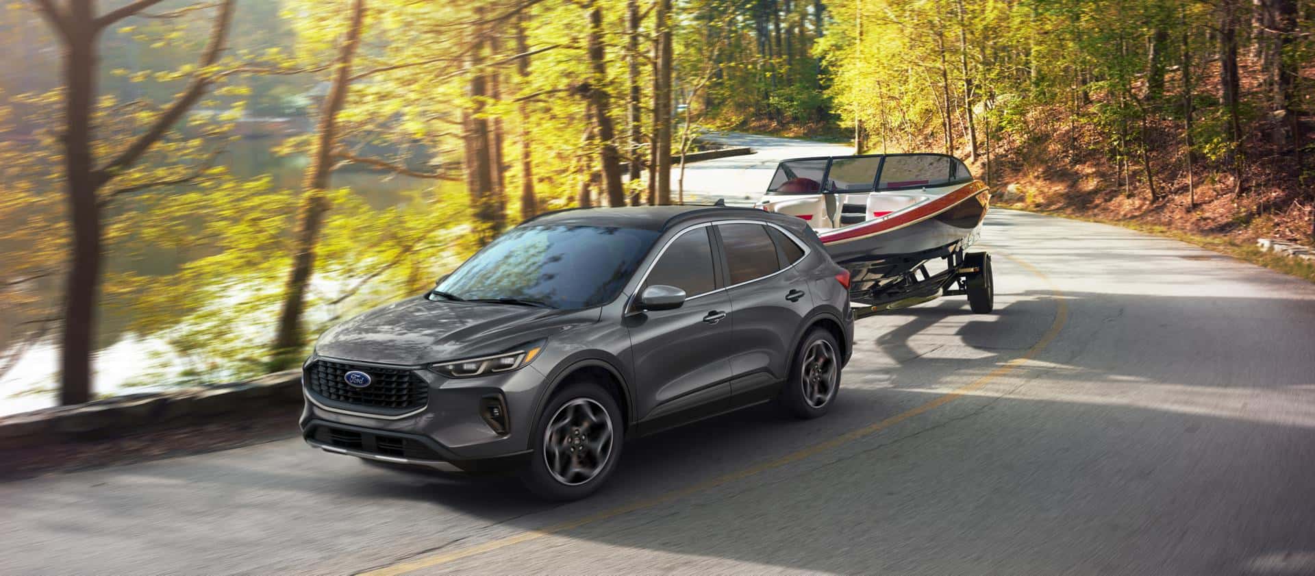 New Ford Models