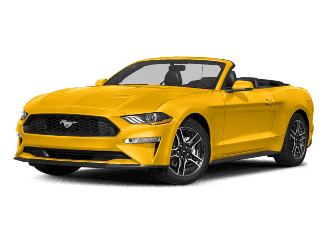 Mustang