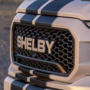 2021 Ford F-150 Shelby Off-Road White Grille View