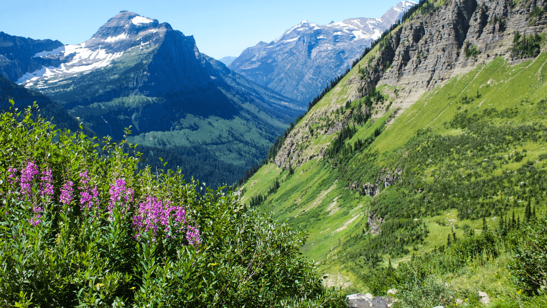 Glacier National Park during the Summer in Northwest Montana