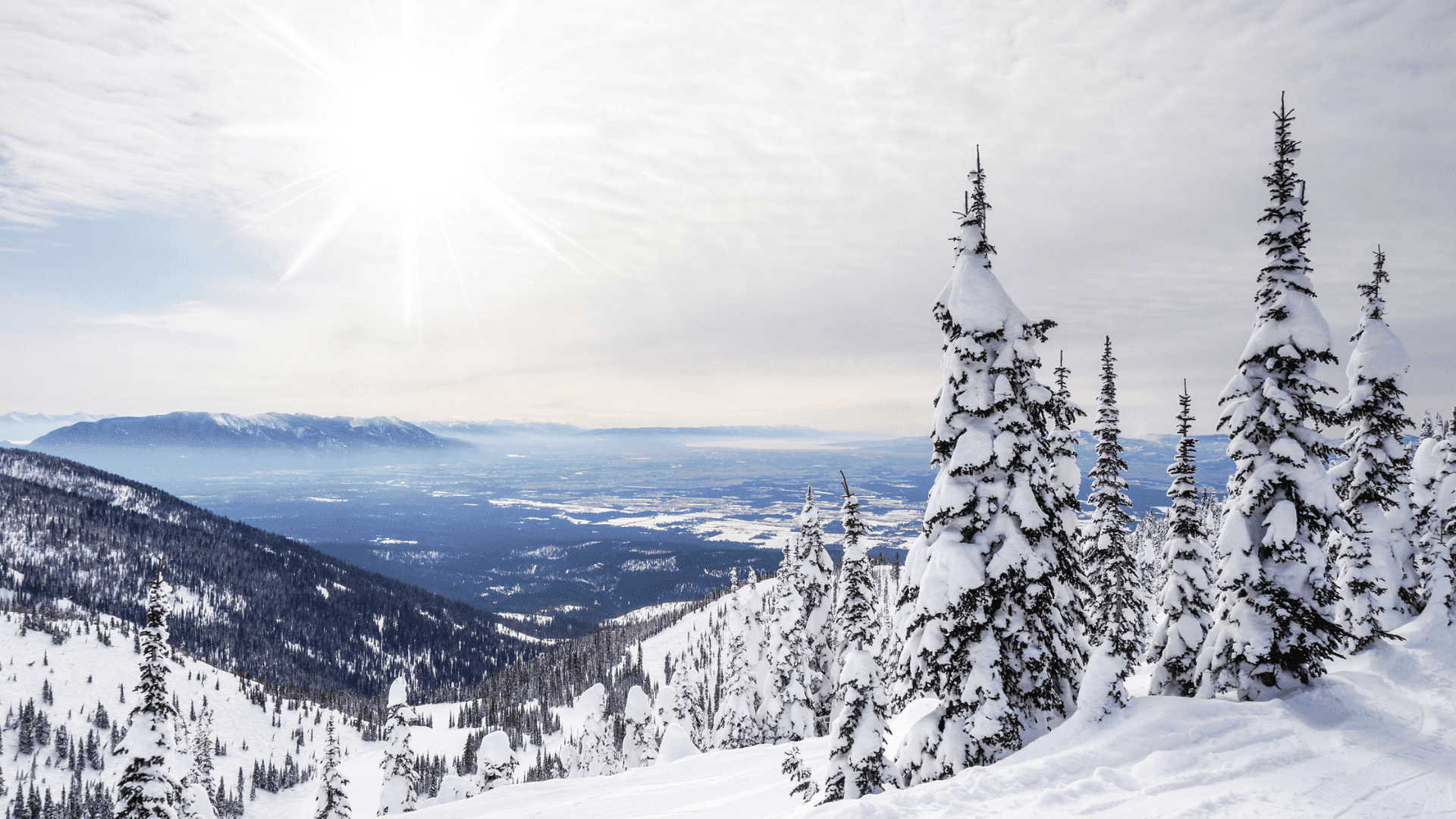Flathead Valley as seen from the Whitefish Mountain