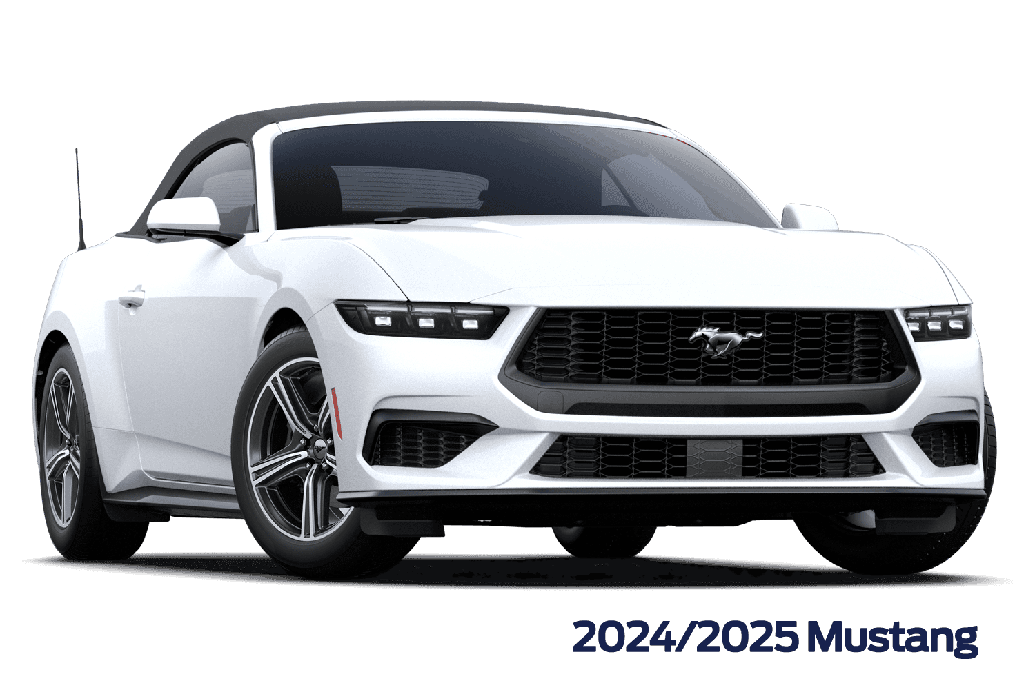 Model Year 2024 and 2025 Ford Mustang