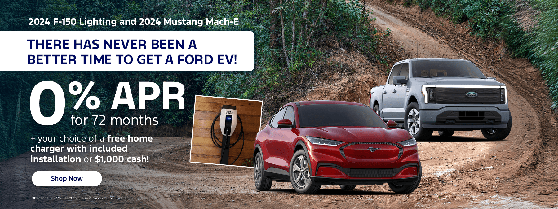 2024 F-150 Lighting and 2024 Mustang Mach-E There has never been a better time to get a Ford EV!