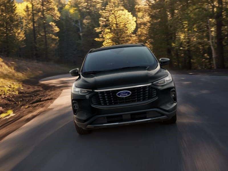 Ford Escape Reviews