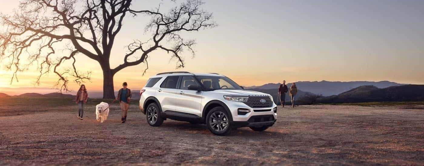 A white 2024 Ford Explorer XLT parked under a tree in the middle of a field.