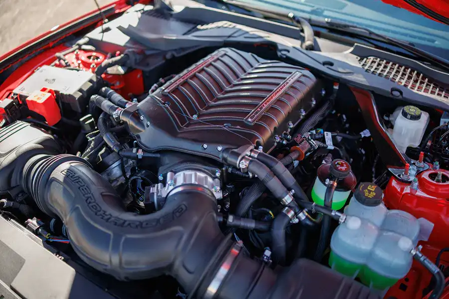 2025 Shelby GT350 - Power and Performance