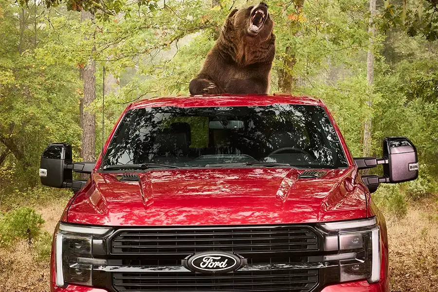 Ford F-150 Security Package