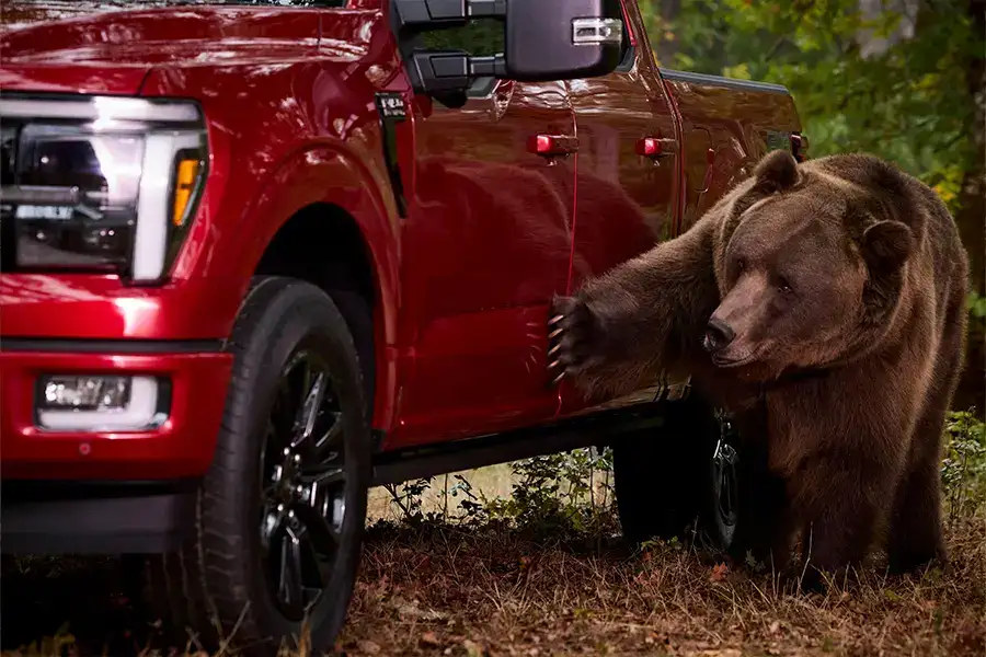 Ford F-150 Security Package