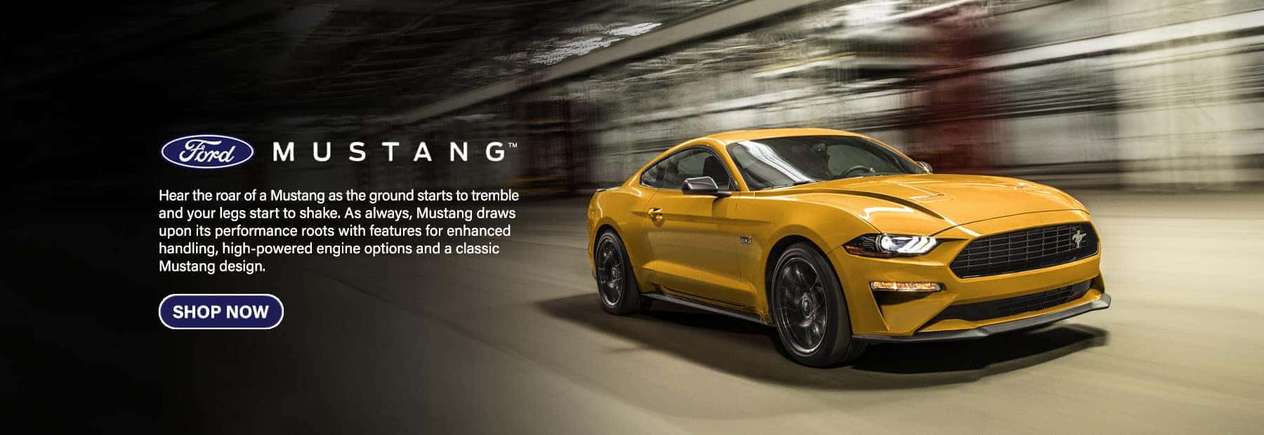 2022-05-10 EVRGRN Mustang_Desk