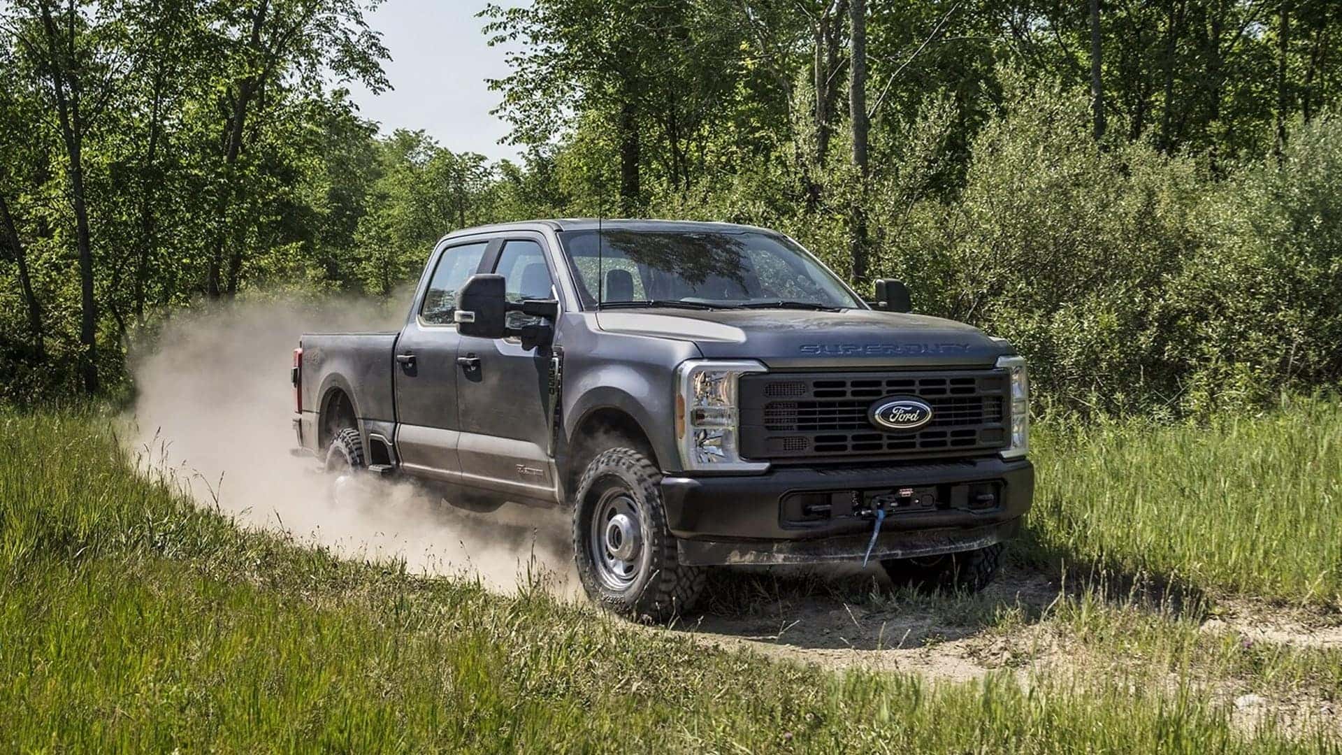 2025 ford f-250 surrounded by trees
