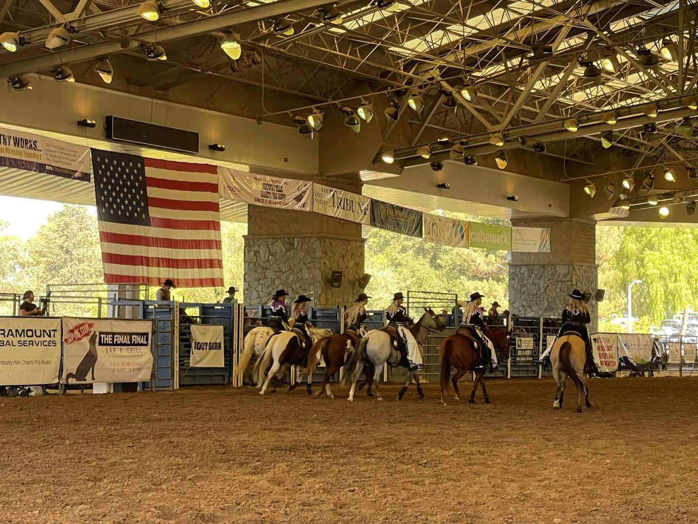 Horses