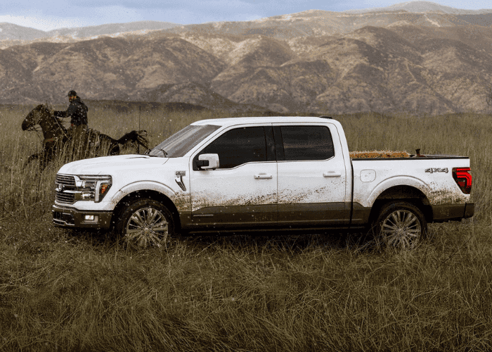 Ford trucks Indianapolis - white Ford F-150