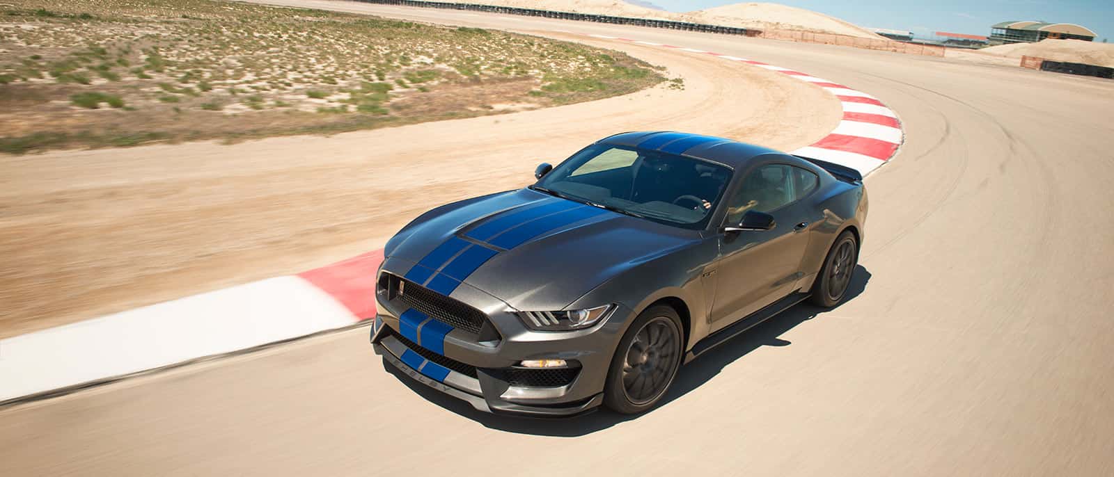 Grey Mustang