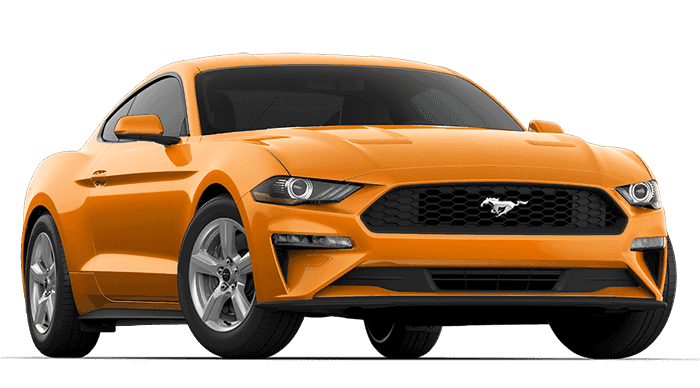 Mustang