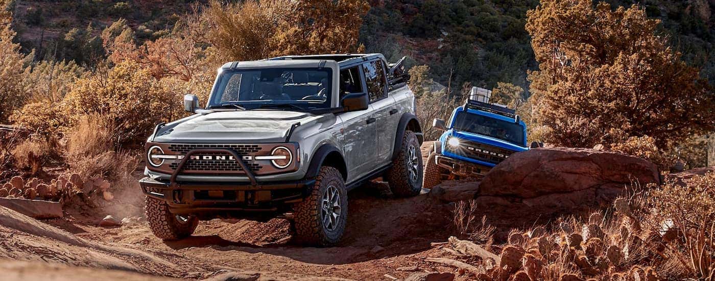 A silver and a blue 2026 Ford Bronco off-roading on a trail