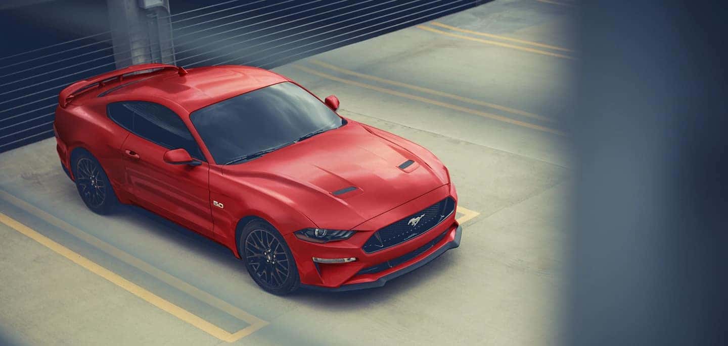 Ford Mustang GT Conversível \u0026 Mustang Shelby GT350R – No Trânsito, image size:1440x686