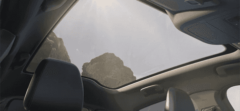 REAR VIEW CAMERA