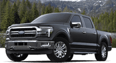 lariat