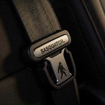 Seat belt Ford Bronco Sport 2024