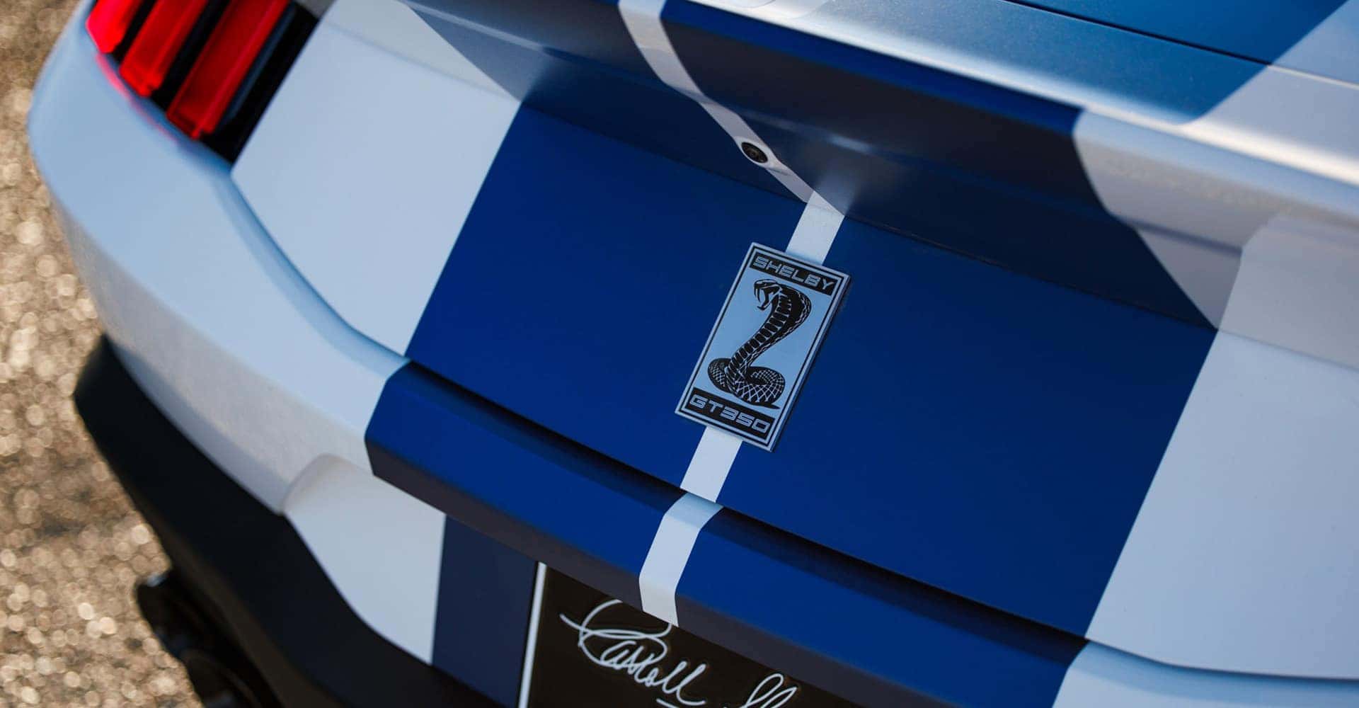 2025 Shelby GT350 white close up of badge