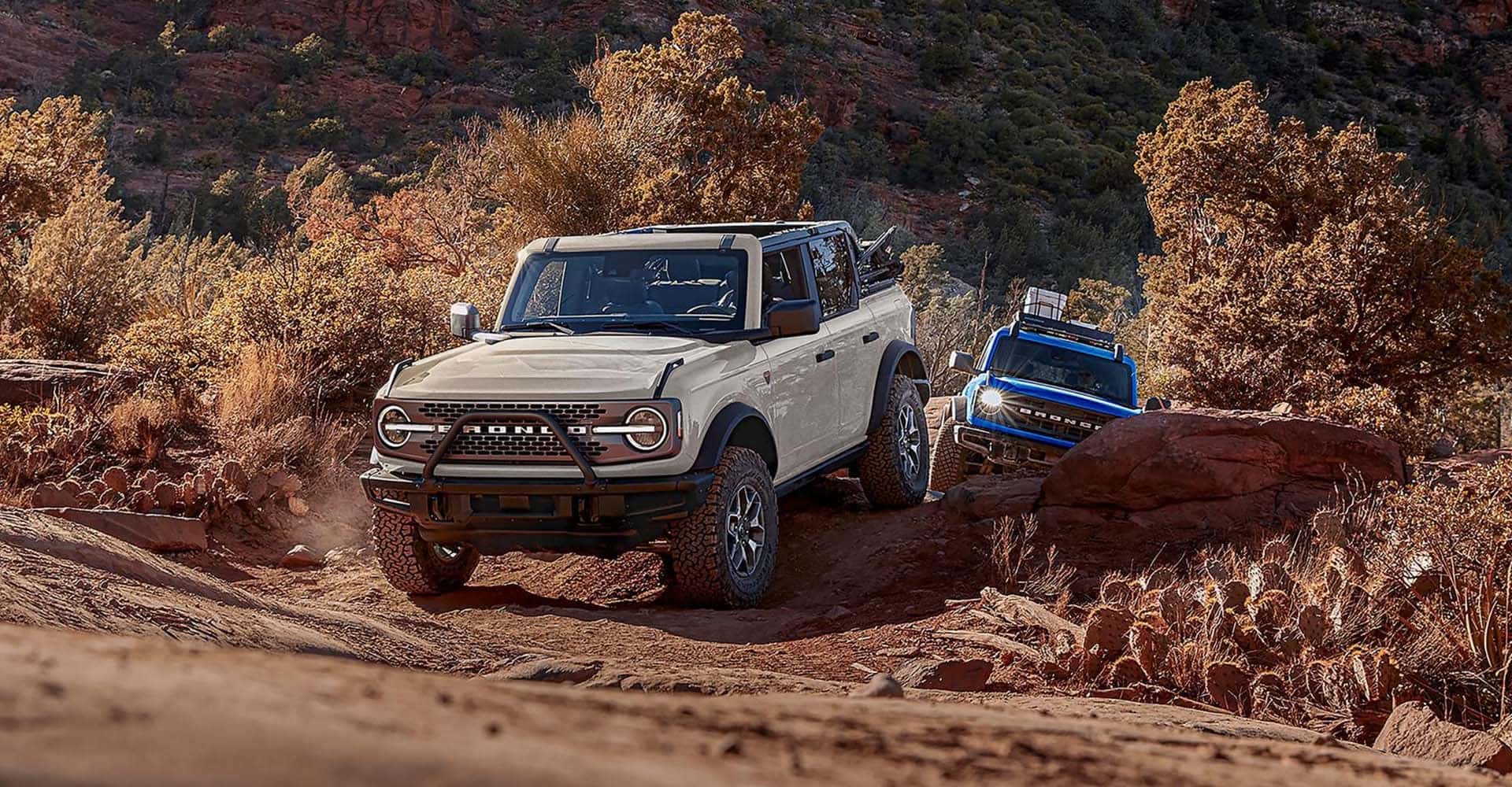 2026 Ford Bronco white and blue