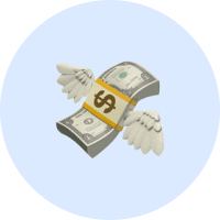 icon-money