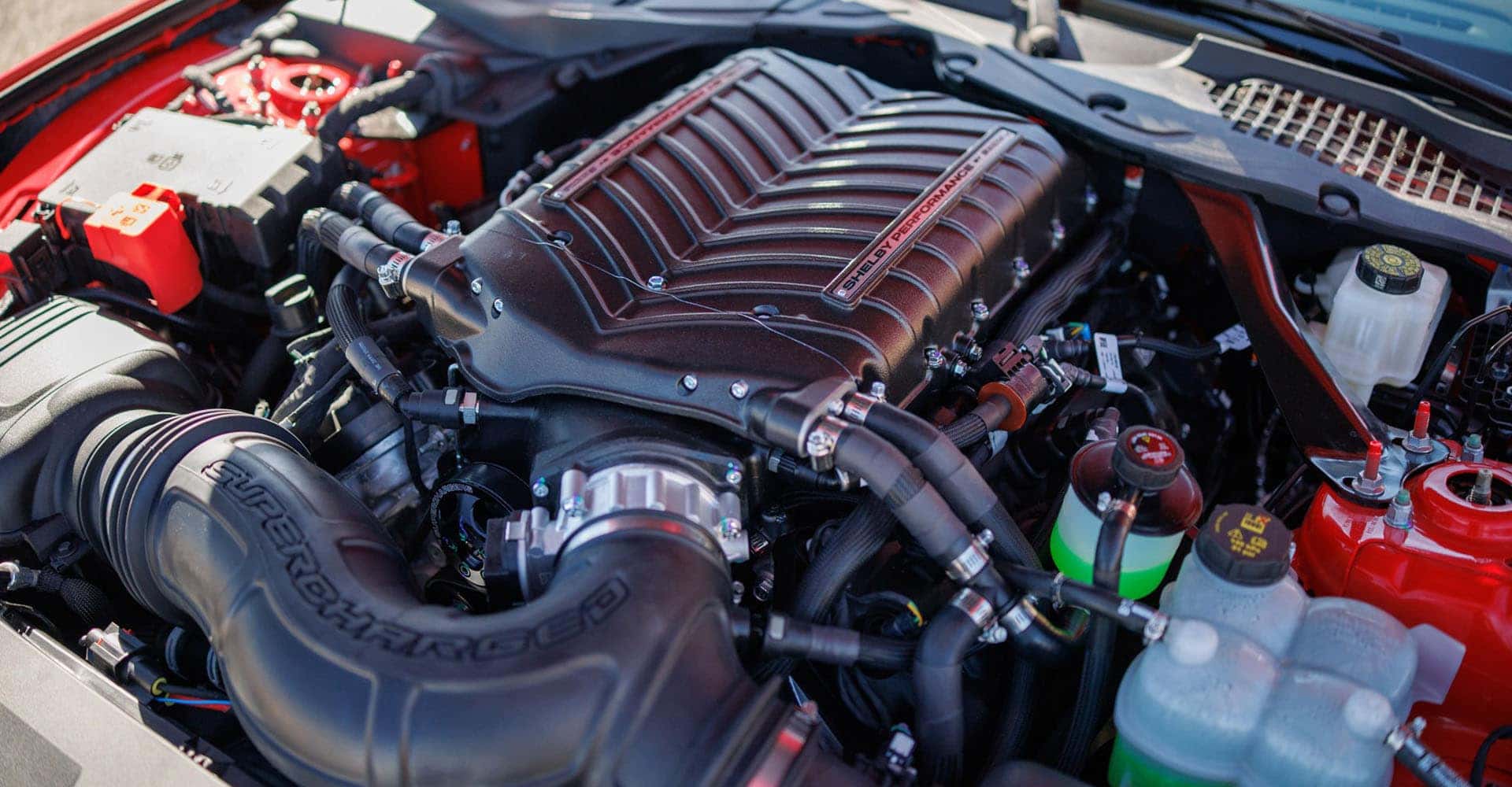 2025 Shelby GT350 red under the hood