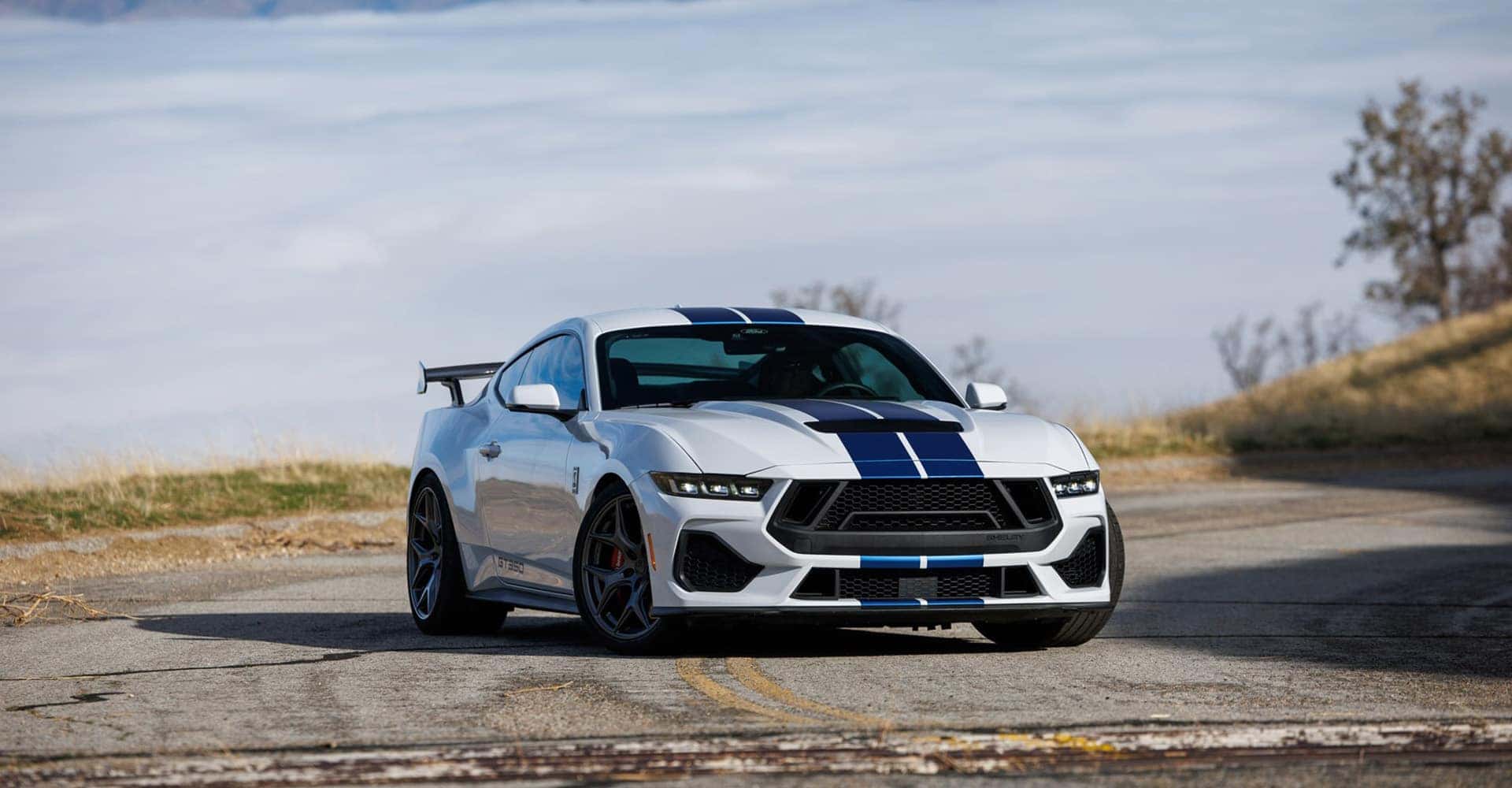 2025 Shelby GT350 white front view