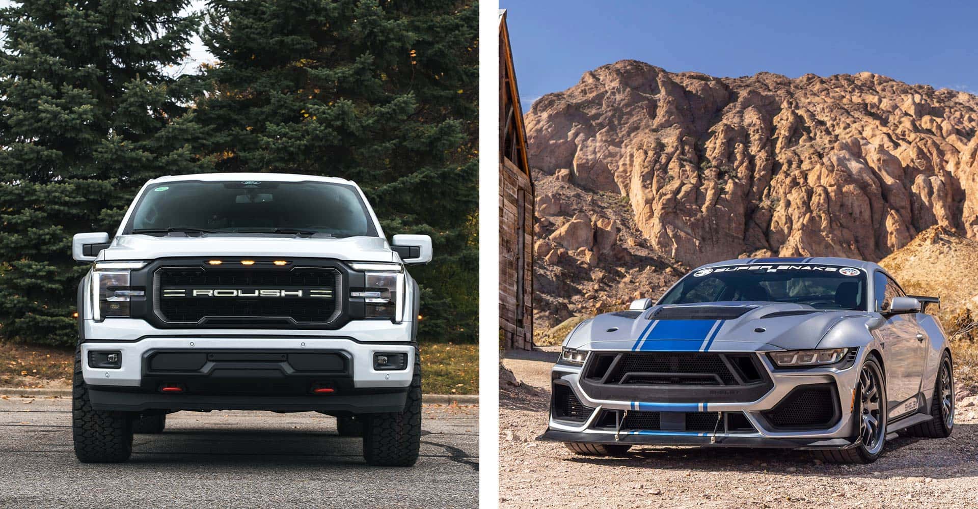 2026-Shelby-vs-Roush