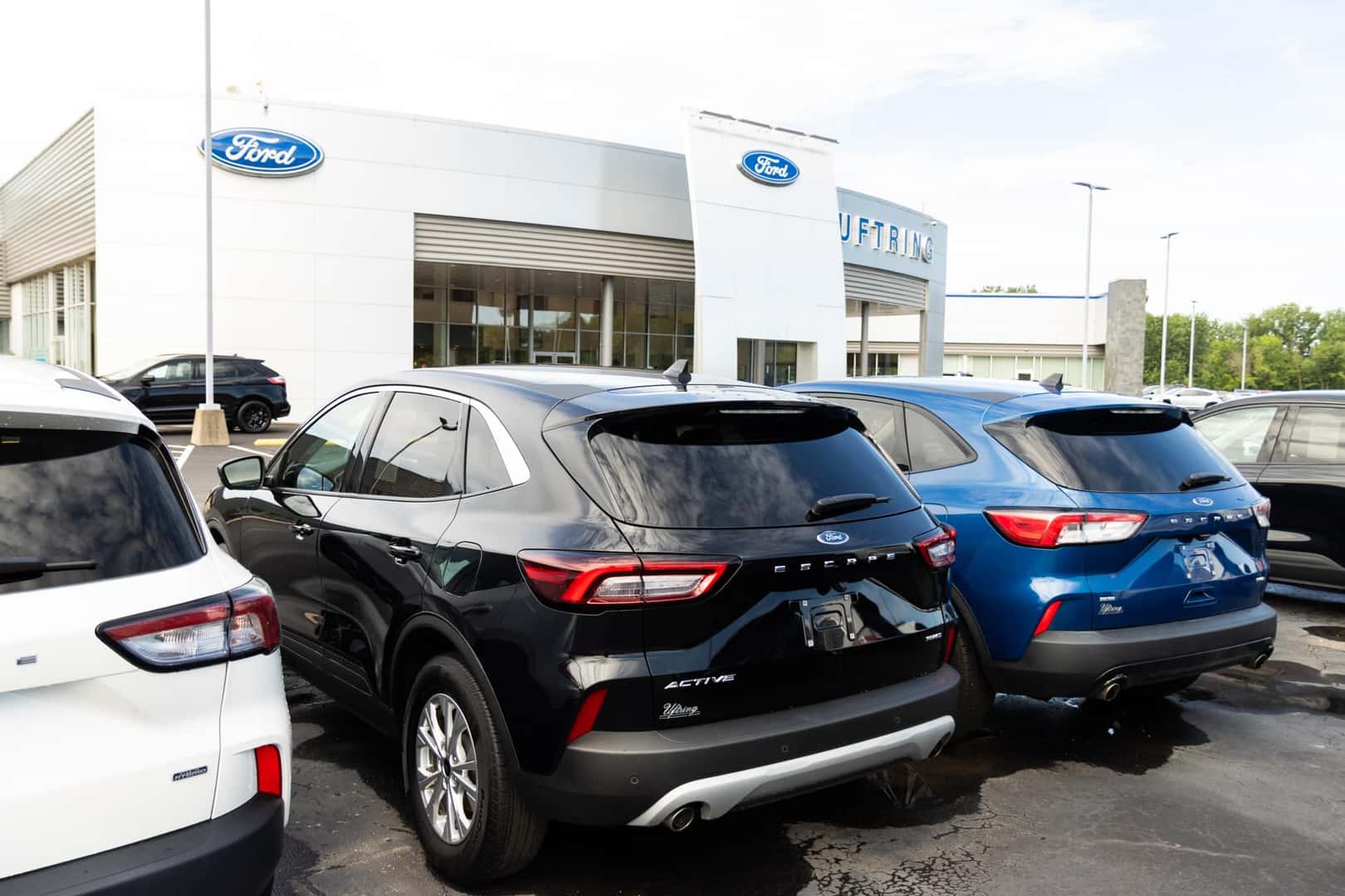 ford escape