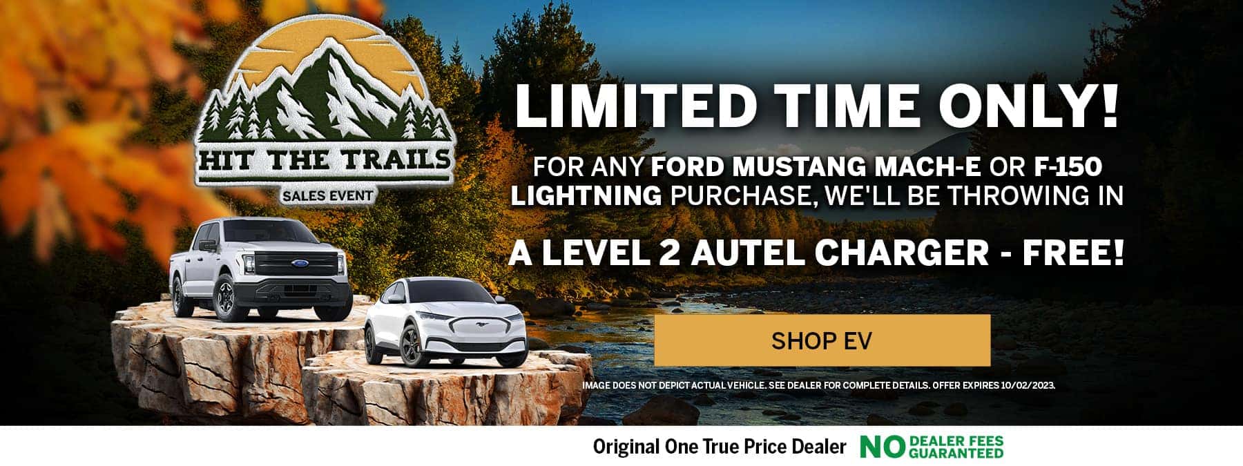 ev offer